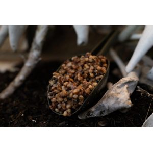 10LTR Impact Chilli Bucket