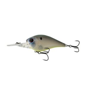 250MD – Shad Candy