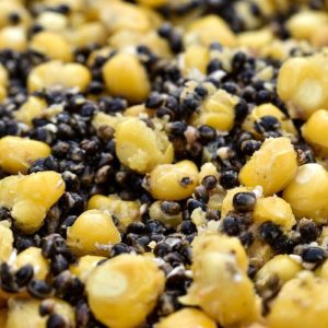 50kg of Prepared Hemp & Maize