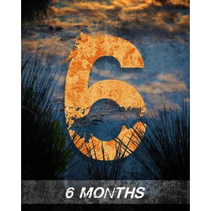6 Month Impact Subscription (120kg Particle)
