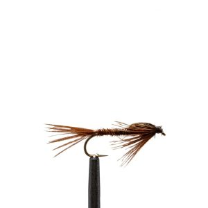 A.P. Pheasant