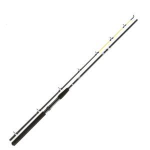 Abu Garcia | GT 702 +15LB Trolling Rod
