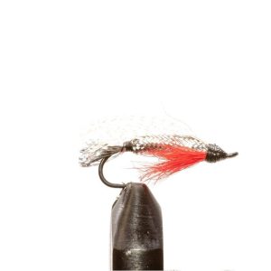 Alaskan Smolt