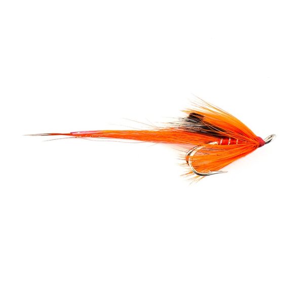 ALLY’S SHRIMP – DOUBLE