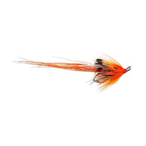 ALLY’S SHRIMP – TREBLE