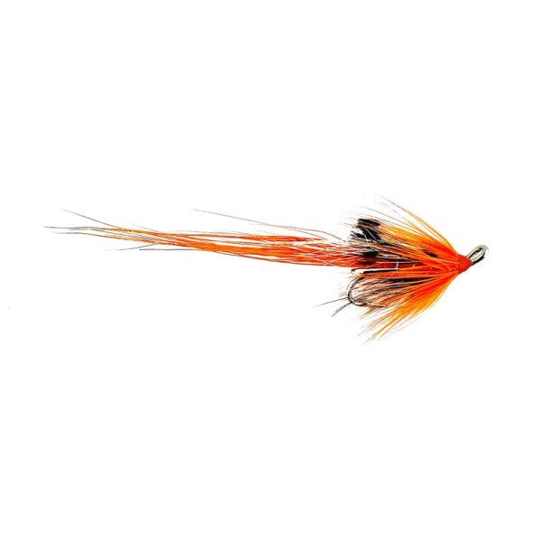ALLY’S SHRIMP – TREBLE