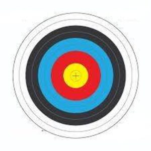 Archery Target | Large | 80 cm | Per Target
