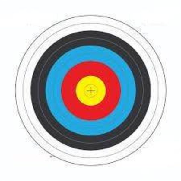Archery Target | Large | 80 cm | Per Target