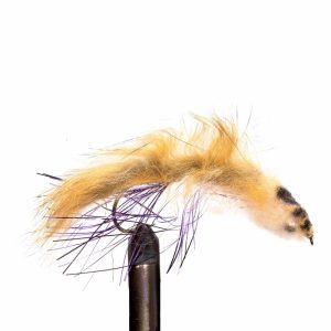 Articulate Sculpin