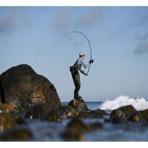 AVID SERIES SURF SPINNING RODS