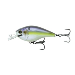 AXIS – Wild Shad