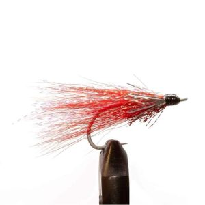 Back Country Flash