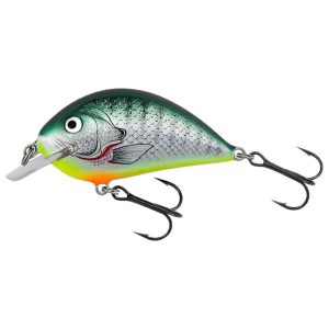 Bagley Pro Sunny B 07