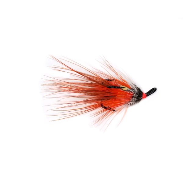BANN SPECIAL SHRIMP – TREBLE