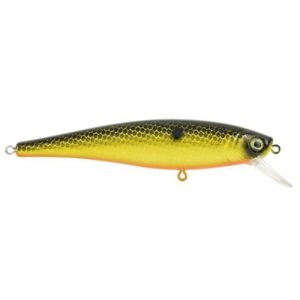 Berkley Cutter 90+