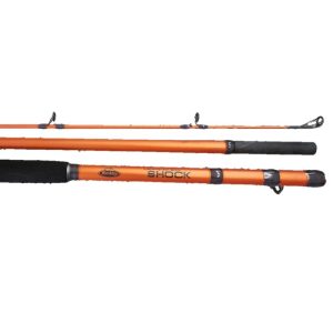 Berkley Lightning Shock Surf Rods