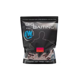 BIG BAITING TANGERINE SQUID