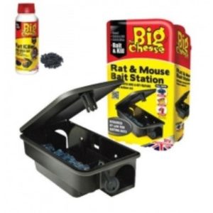 Big Cheese | Rat Bait Stations
