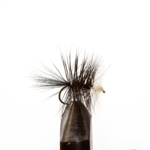 Black Bivisible