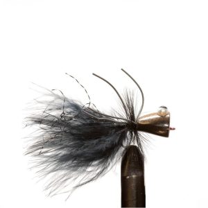 Black Bugeye Popper
