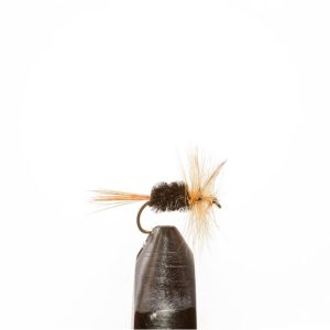 Black Deerfly