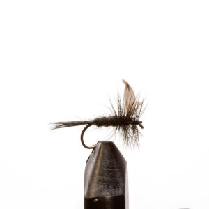 Black Gnat-Black Tail