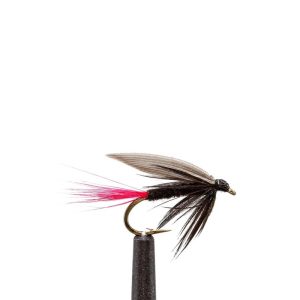 Black Gnat-Red Tail-Wet