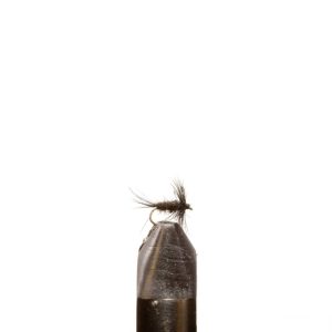 Black Midge