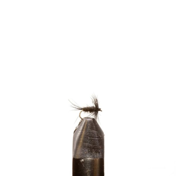 Black Midge