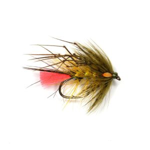 BLACK OLIVE GEORGE