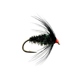 BLACK & PEACOCK SPIDER (VARIANT)