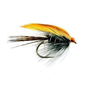 BLACK RAIL