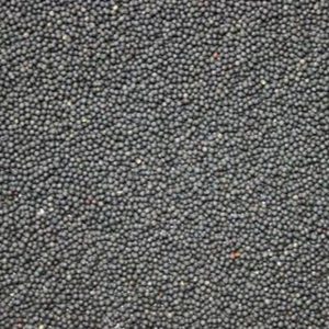 Black Rapeseed ** Free Delivery **