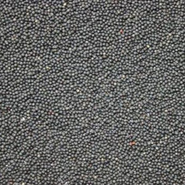 Black Rapeseed ** Free Delivery **