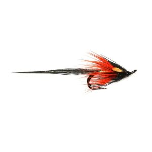 BLACK SHRIMP – LONGTAIL – DOUBLE