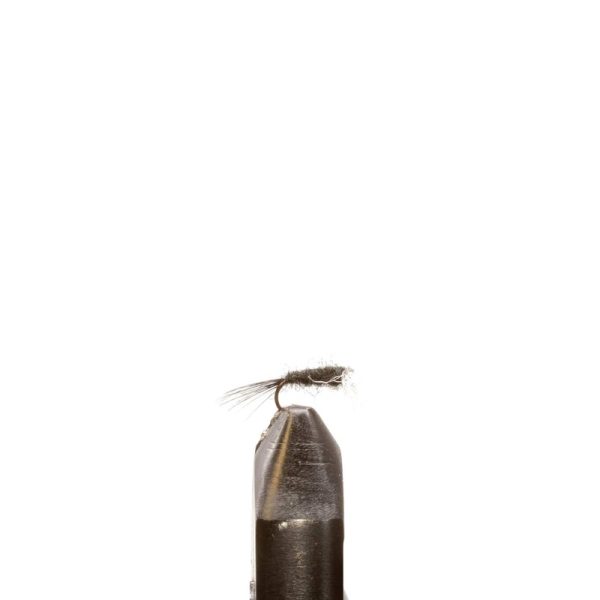 Black Spinner