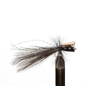 Blackgold Mini