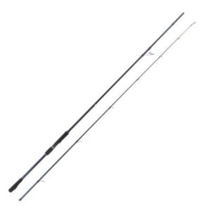 BlackRock Seabass Power Dynamic 2G 10ft 20-80g