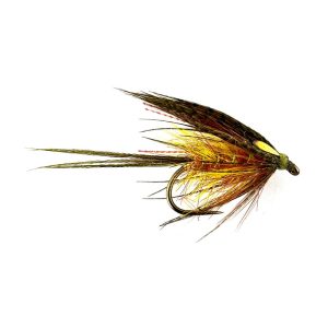 BLOOD OLIVE DABBLER
