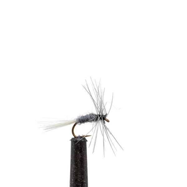 Blue Dun Midge