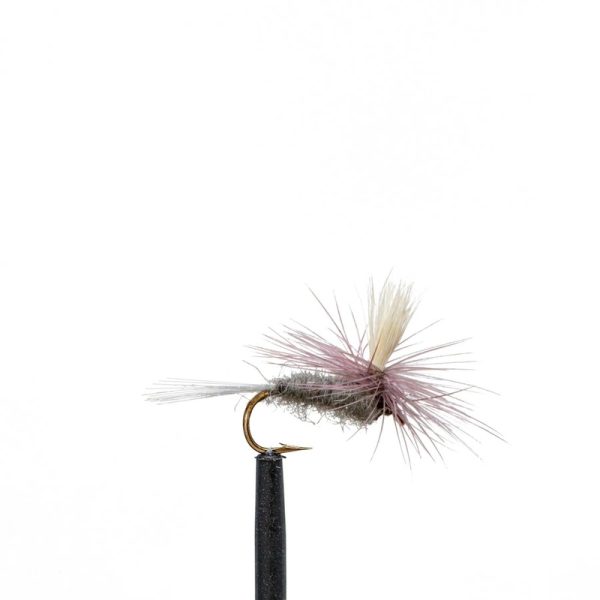 Blue Dun Parachute