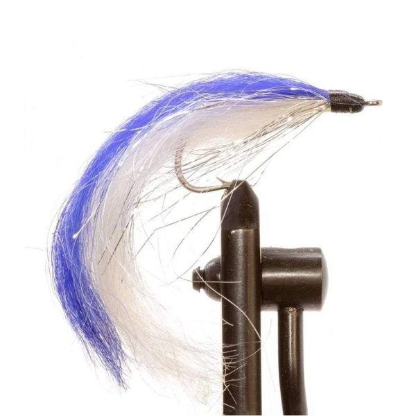 Blue/ White Sailfish