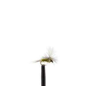 Blue-Winged Olive Parachute