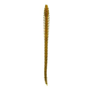 Boosa 6.5 Shakey Worm – Green Pumpkin Pro