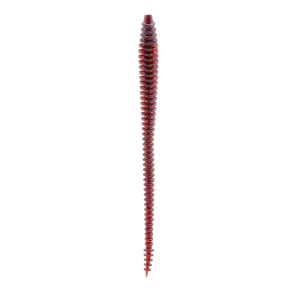 Boosa 6.5 Shakey Worm – Plum Bug