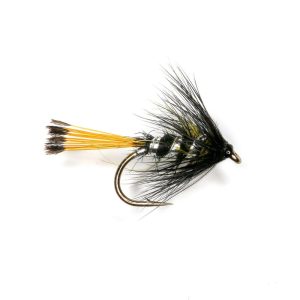 BRIGGS PENNELL – OLIVE