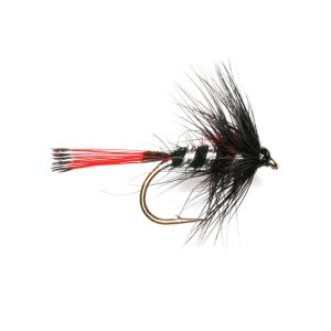 BRIGGS PENNELL – RED