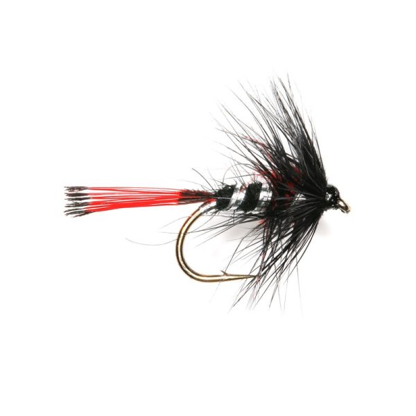 BRIGGS PENNELL – RED