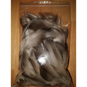 Bronze Mallard 10g Bulk Pack