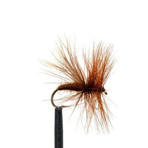 Brown Caddis